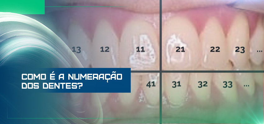 Como é a numeração dos dentes